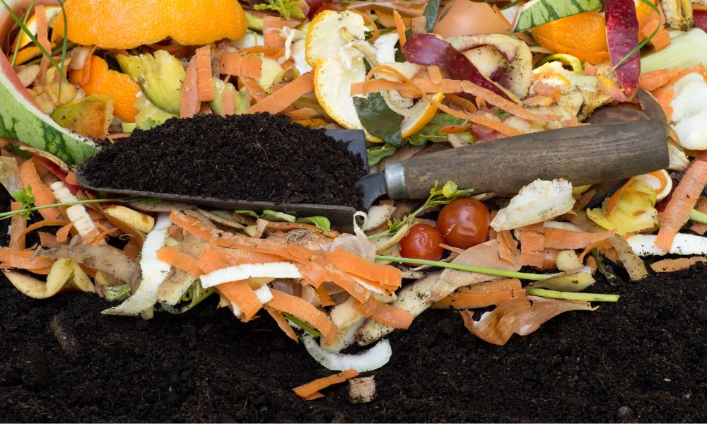 Composteren: thuis zelf compost maken